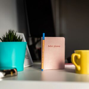 Planner, cactus and bullet planner on the white desk