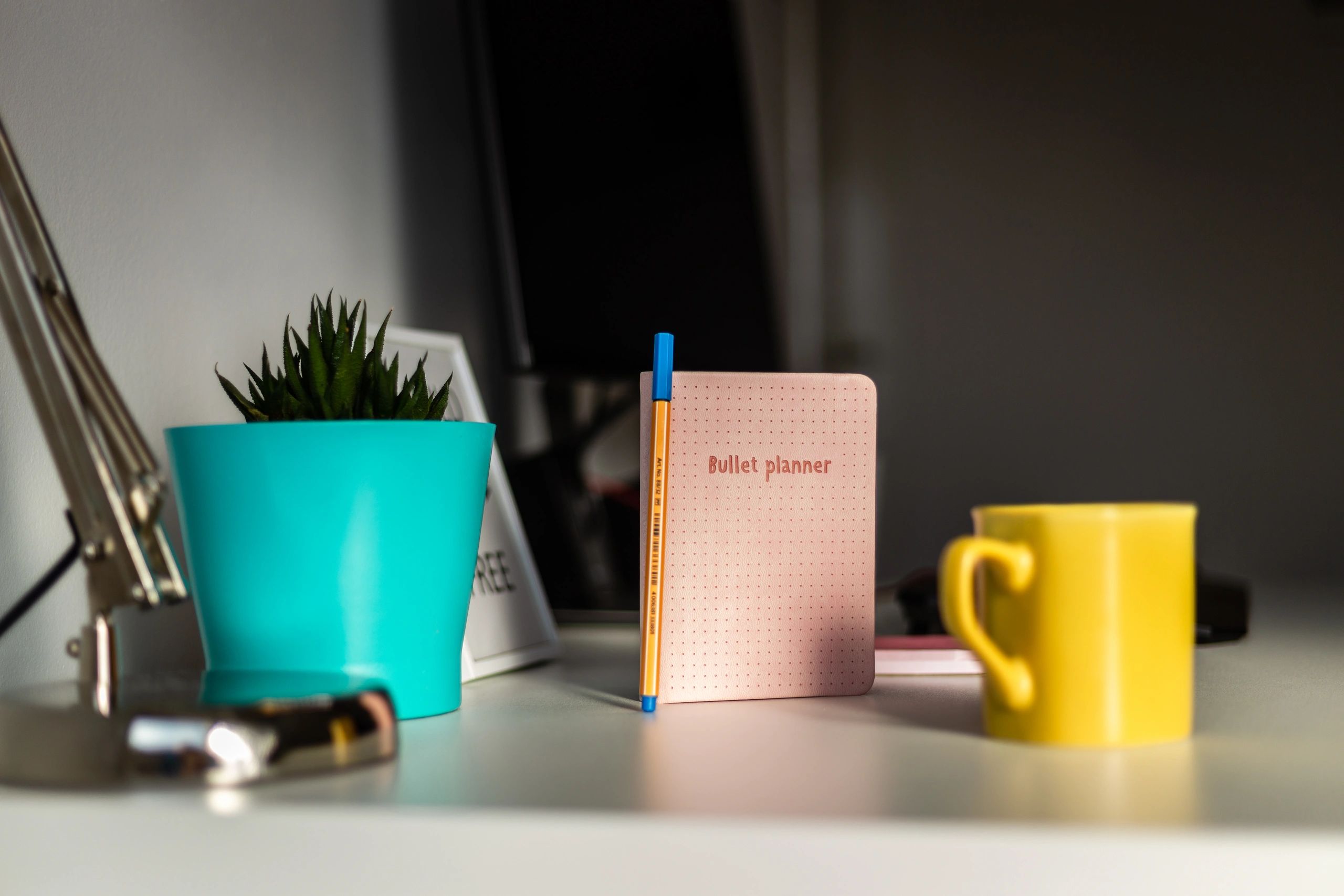 Planner, cactus and bullet planner on the white desk