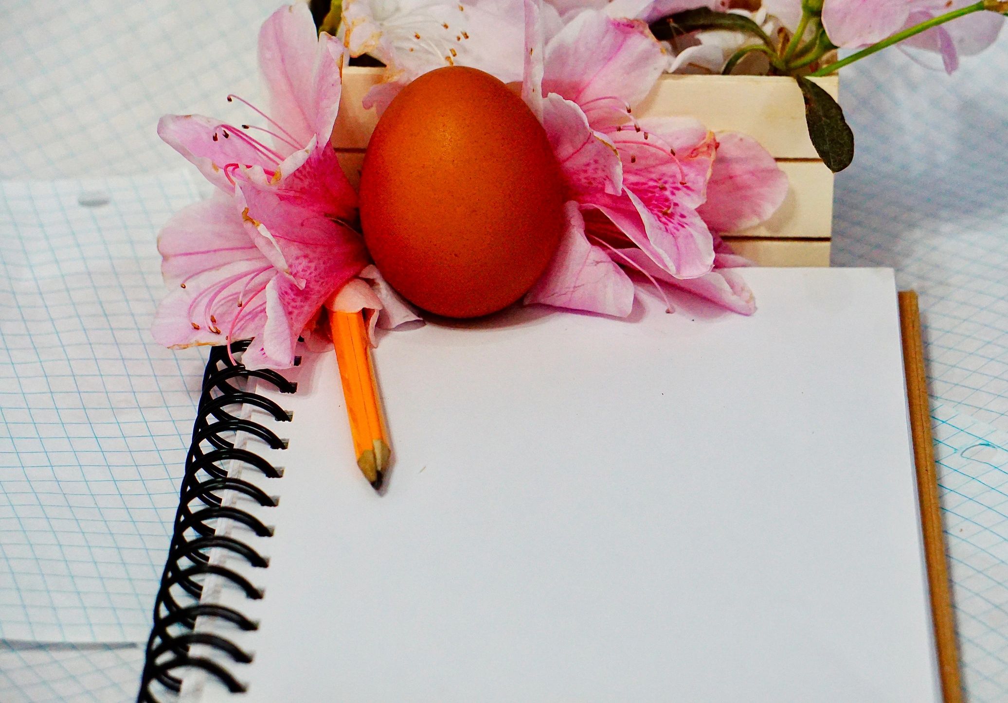 Notebook and pencil for a writing challenge